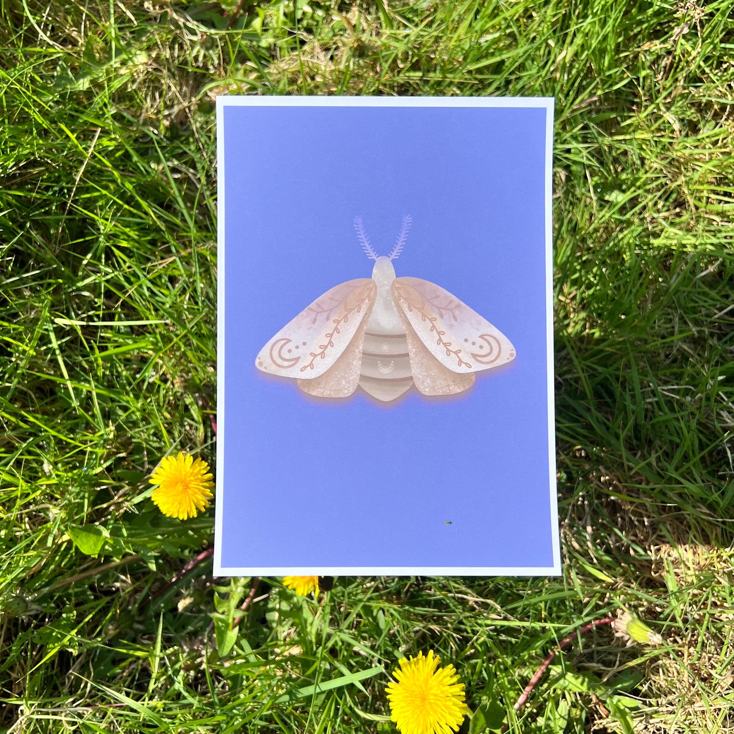 Midnight Moth Purple - Poster (15x20)