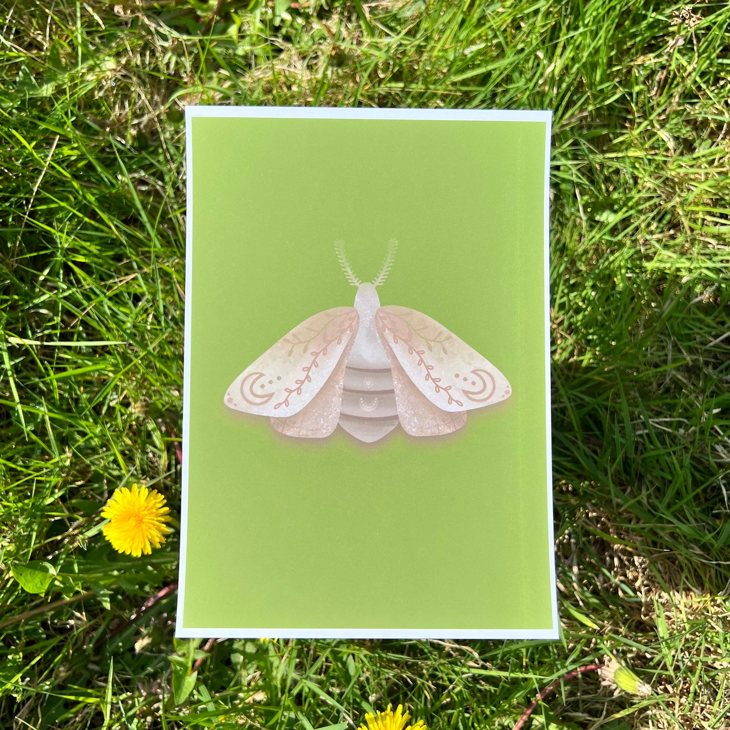 Midnight Moth Green - Poster (15x20)