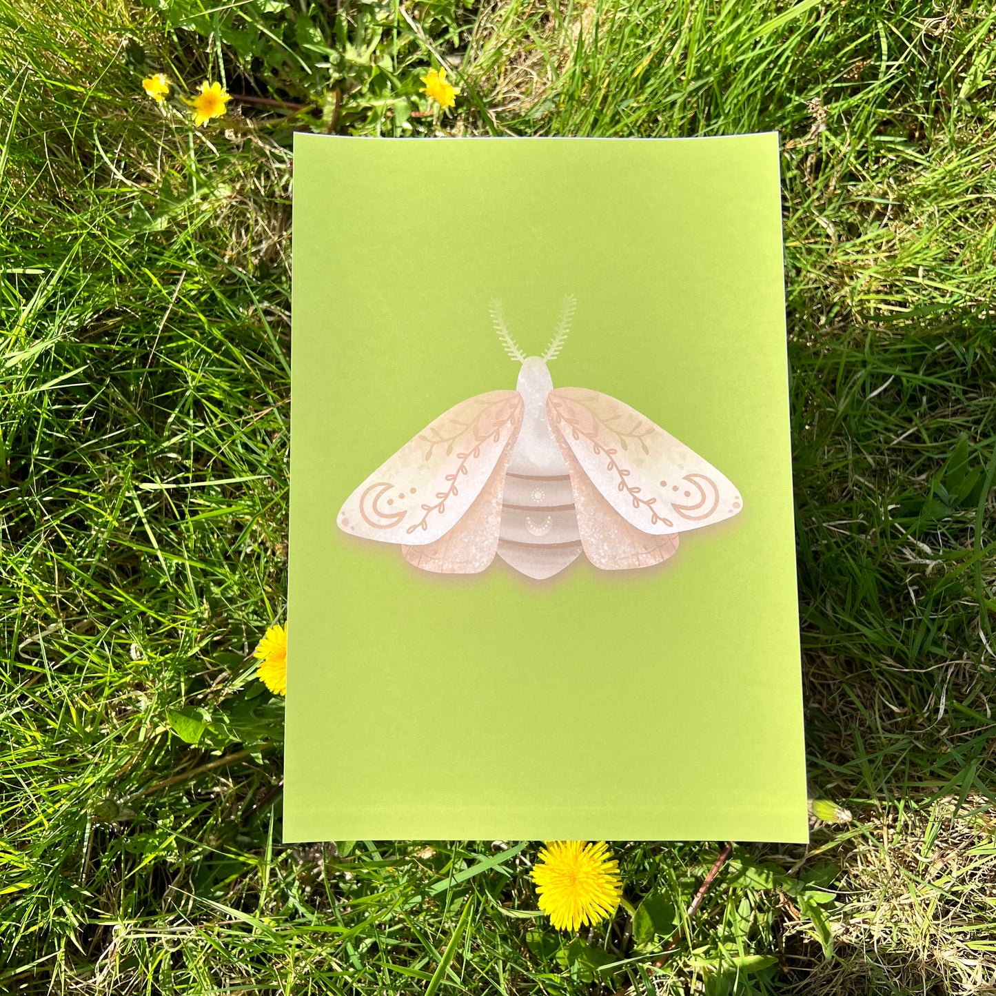 Midnight Moth Green - Poster (20x30)