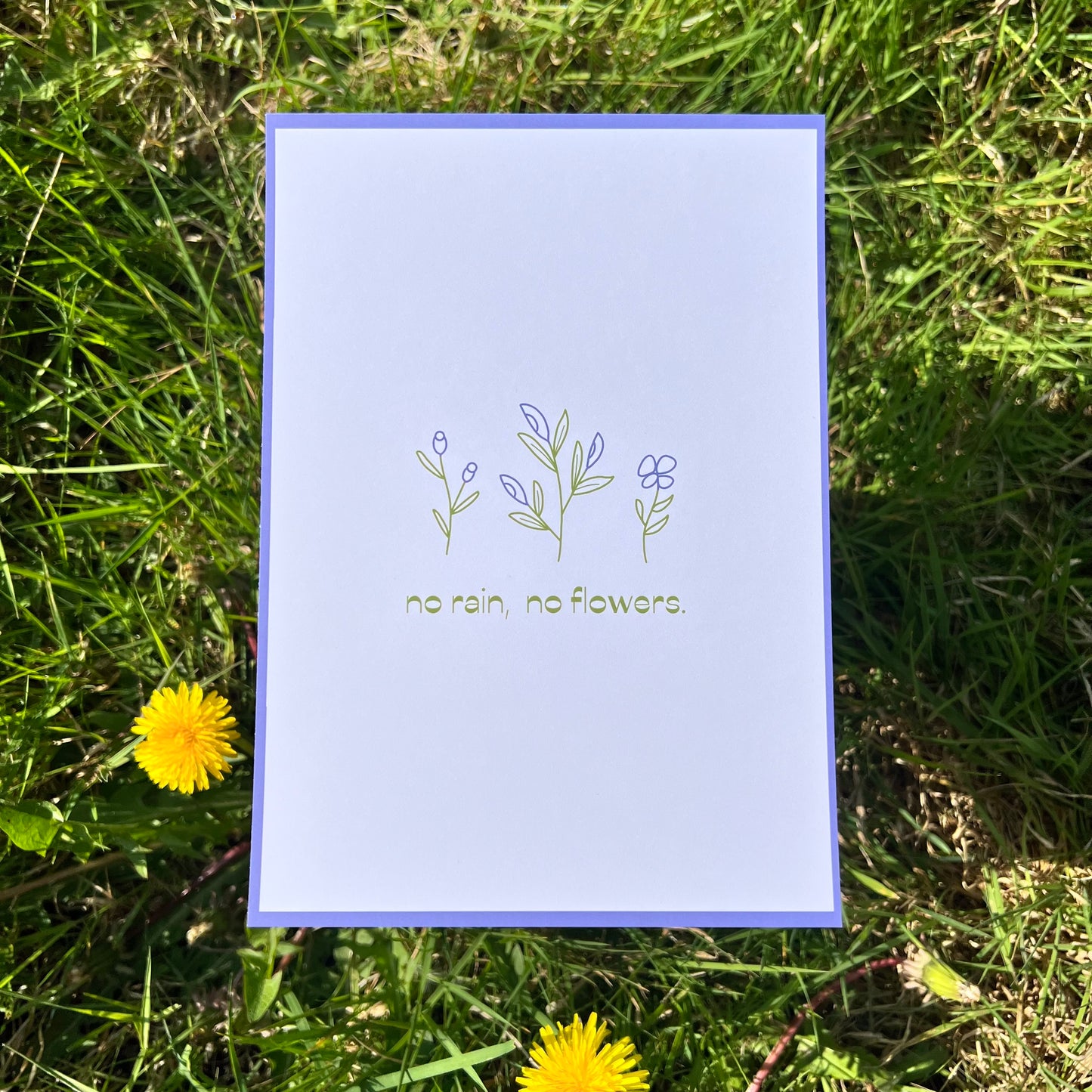 No Rain, No Flowers - Poster (15x20)