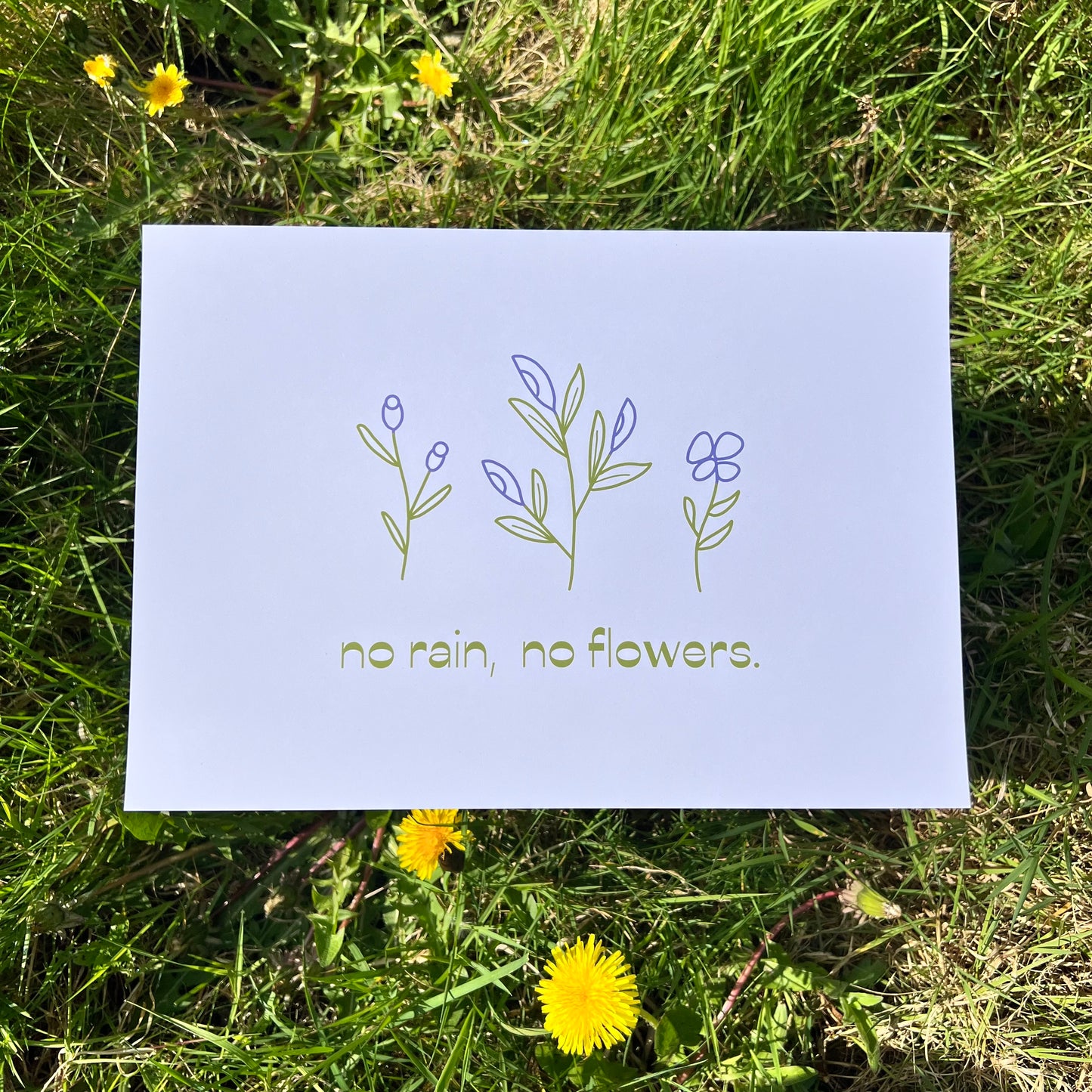 No Rain, No Flowers - Poster (20x30)