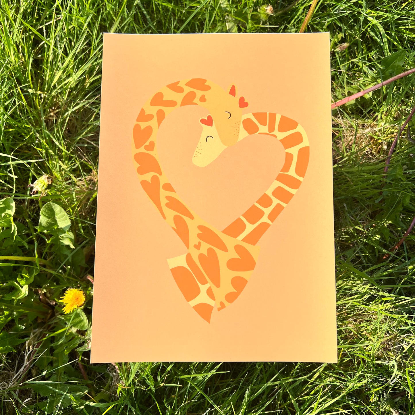Giraffe Love - Poster (20x30)