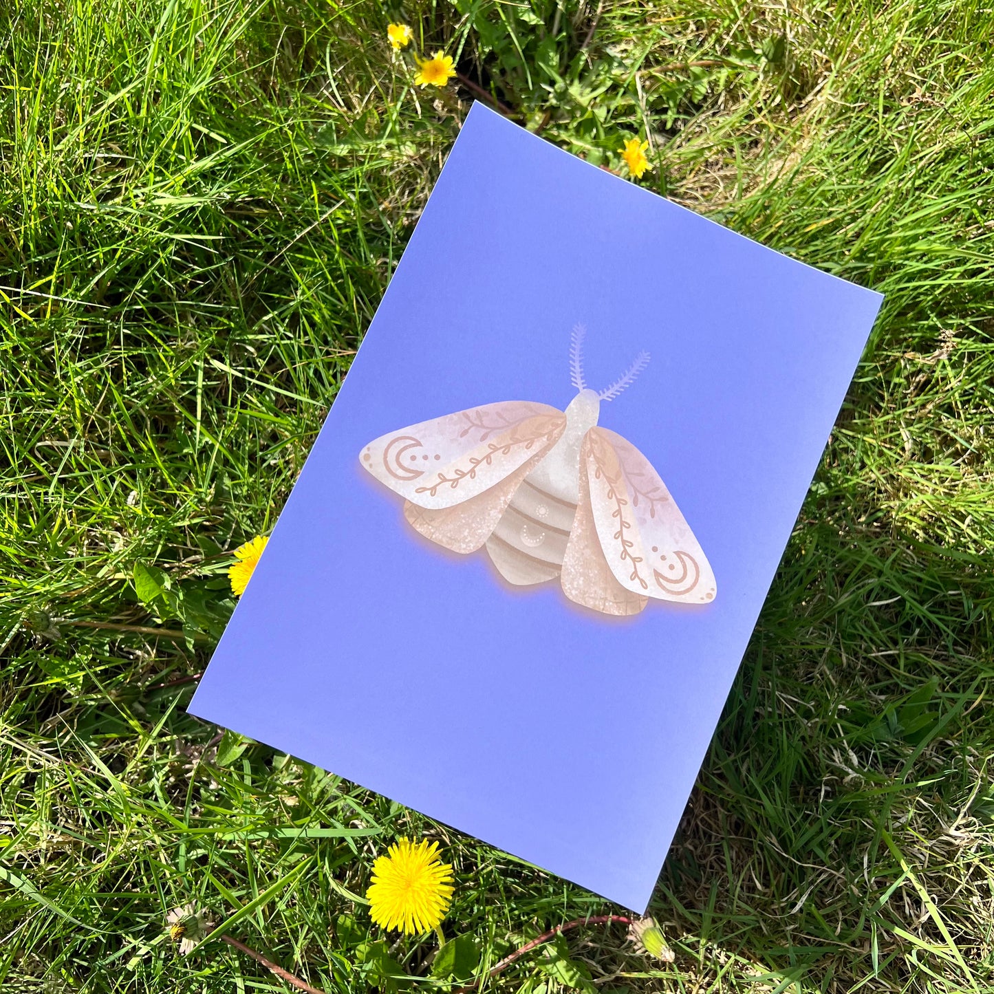 Midnight Moth Purple - Poster (20x30)