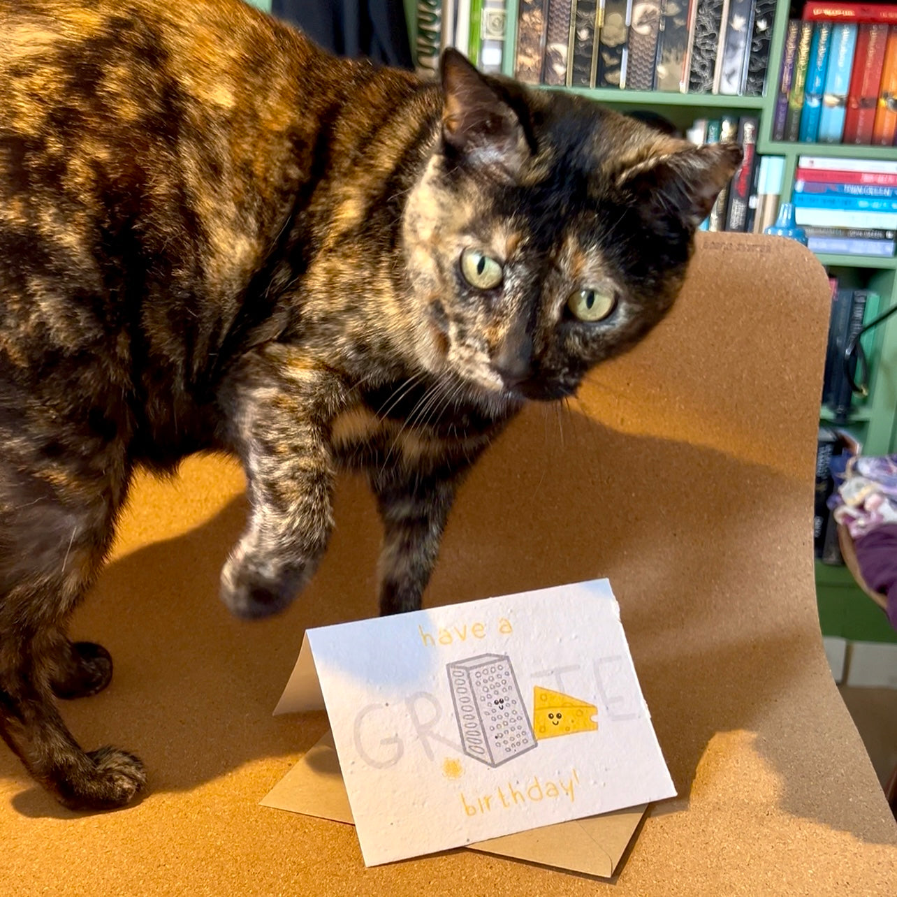 Grate Birthday - Postcard