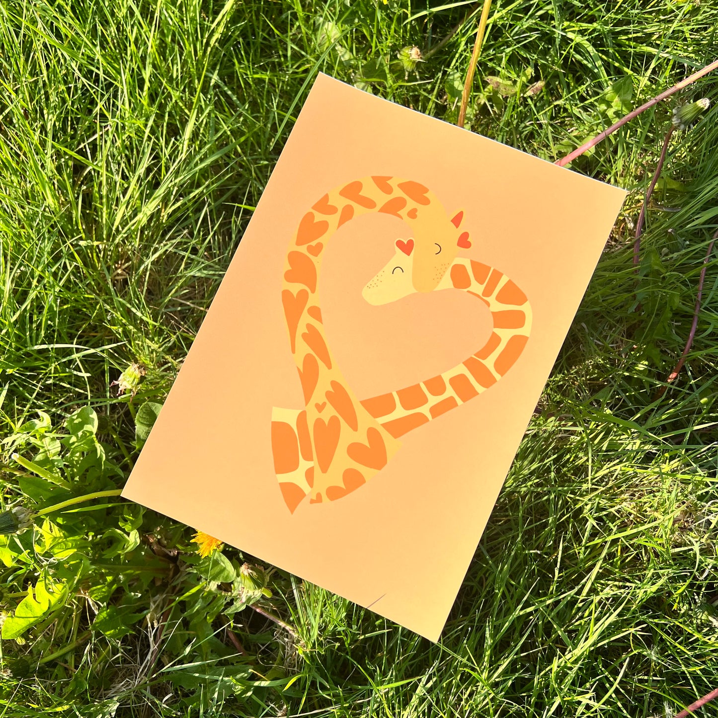 Giraffe Love - Poster (20x30)