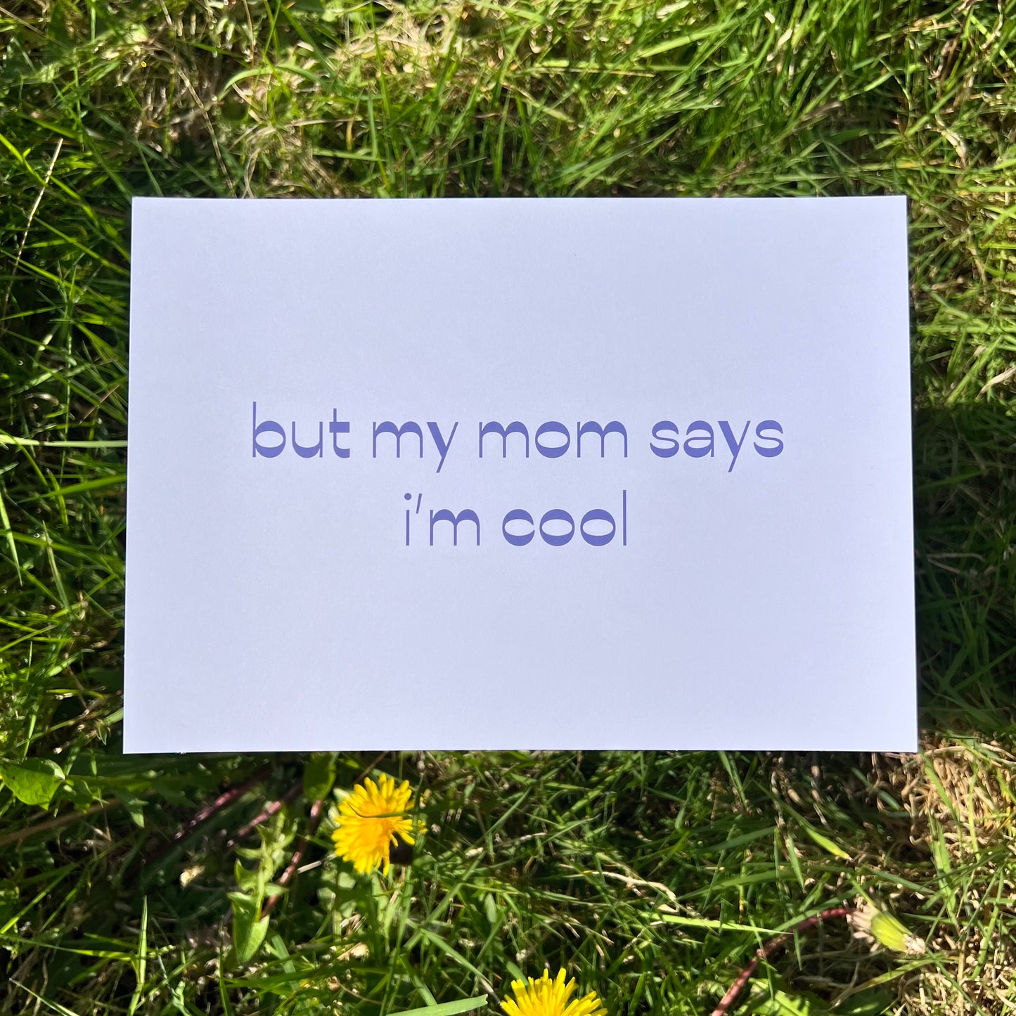 Cool Kid - Poster (20x30)