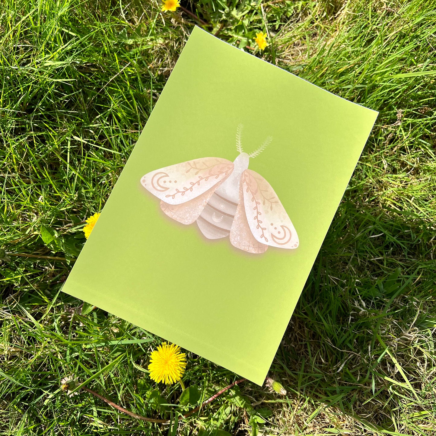 Midnight Moth Green - Poster (20x30)