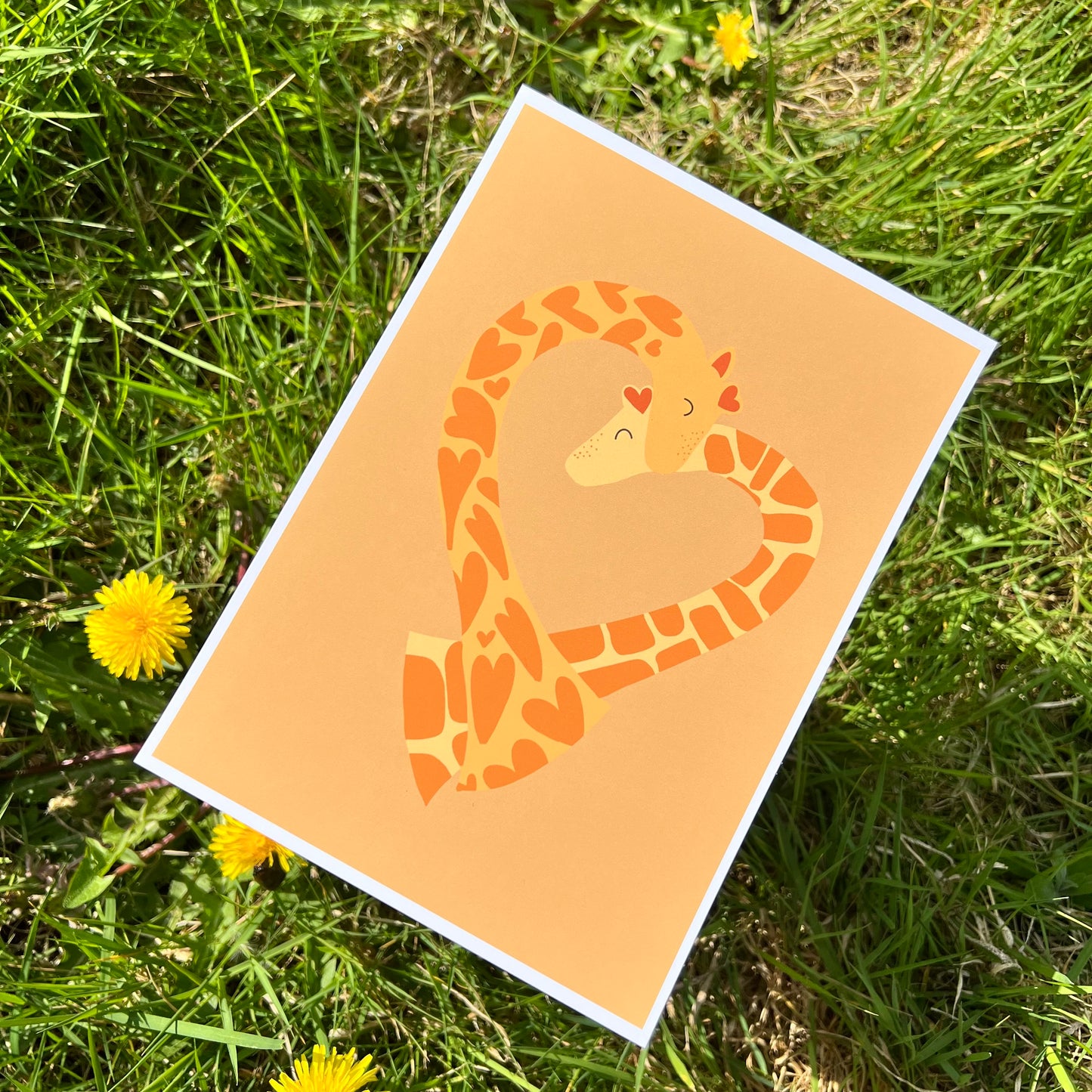 Giraffe Love - Poster (15x20)