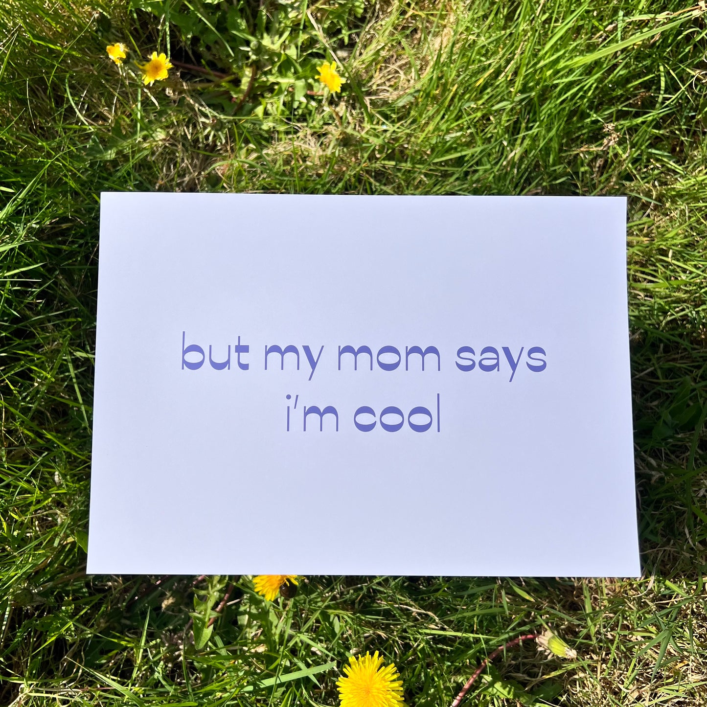 Cool Kid - Poster (20x15)