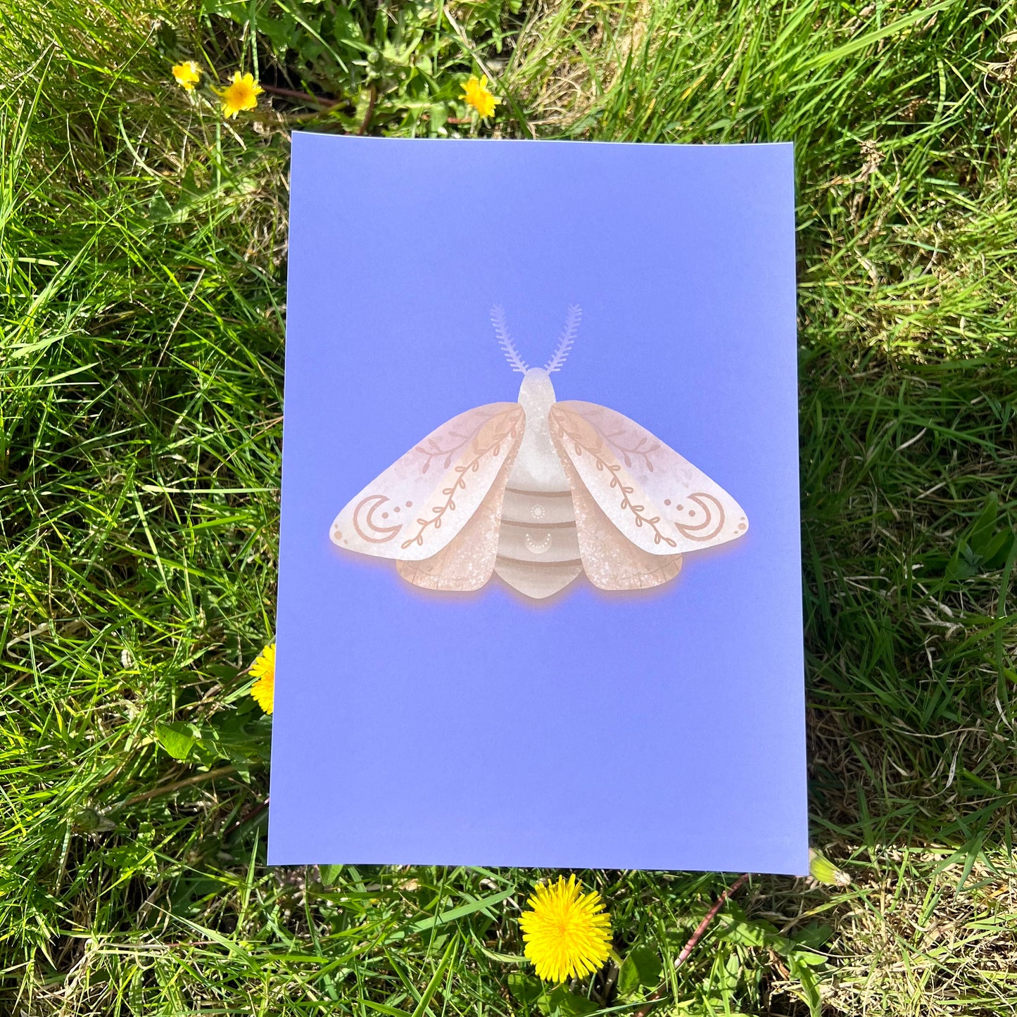 Midnight Moth Purple - Poster (20x30)