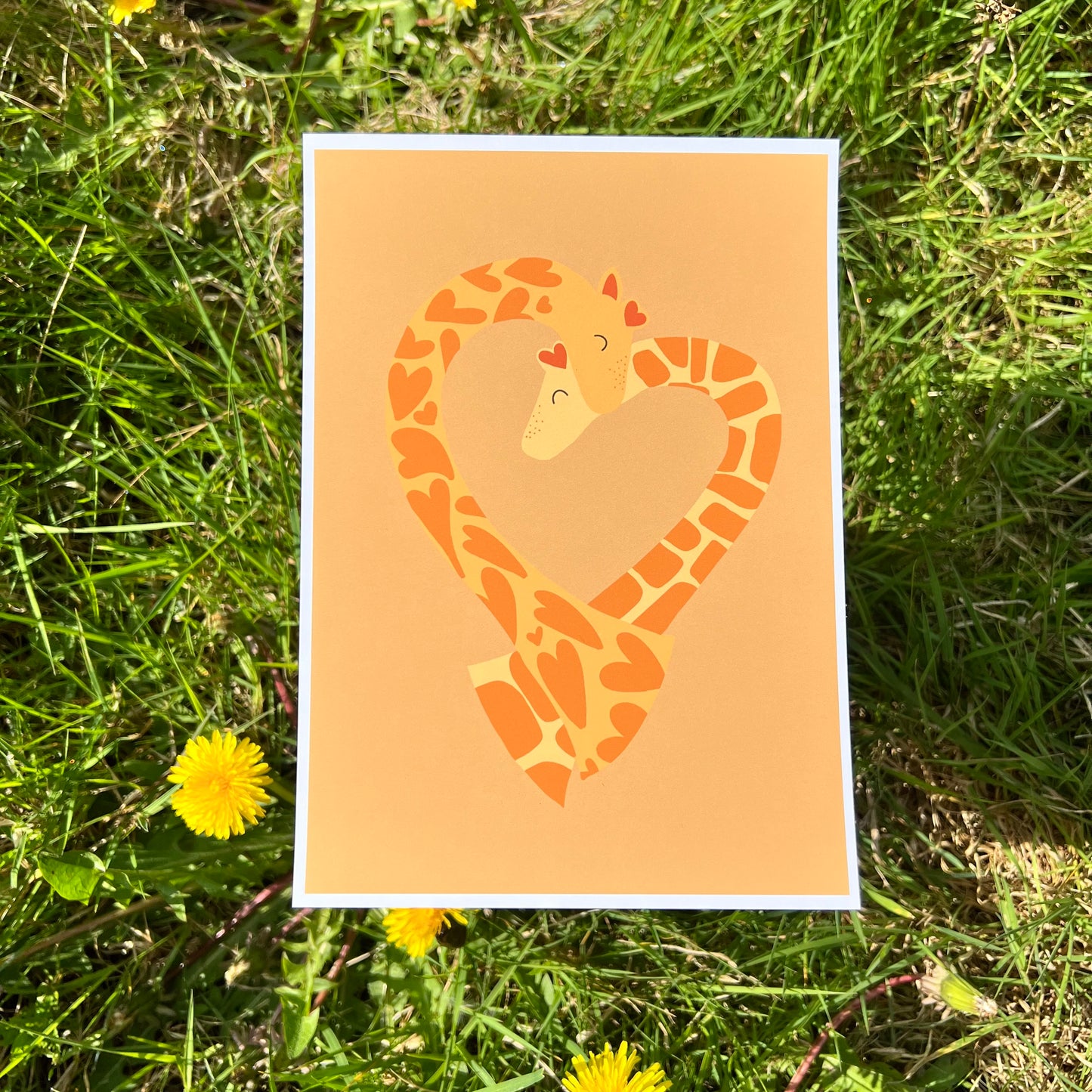 Giraffe Love - Poster (15x20)